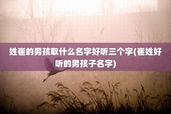 姓崔的男孩取什么名字好听三个字(崔姓好听的男孩子名字)