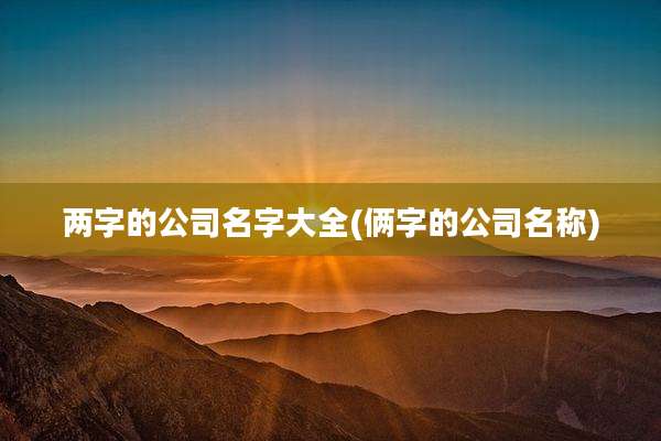 两字的公司名字大全(俩字的公司名称)