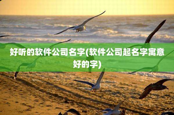 好听的软件公司名字(软件公司起名字寓意好的字)