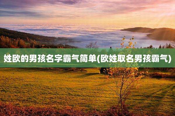 姓欧的男孩名字霸气简单(欧姓取名男孩霸气)