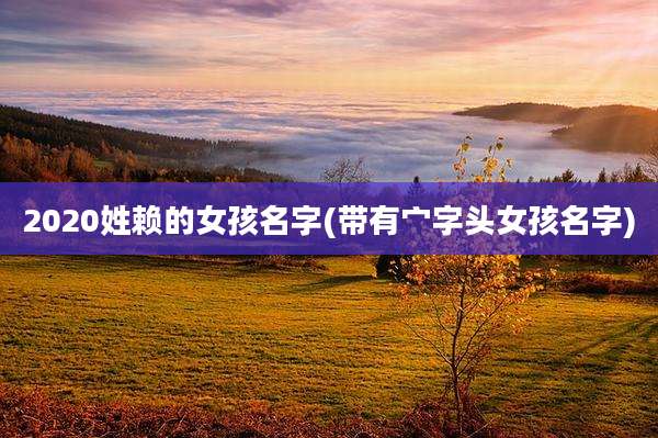 2020姓赖的女孩名字(带有宀字头女孩名字)