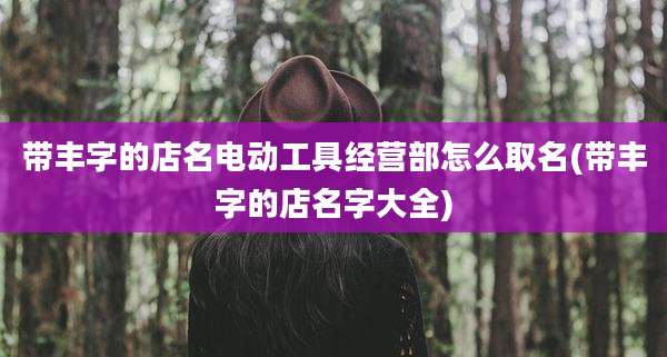 带丰字的店名电动工具经营部怎么取名(带丰字的店名字大全)