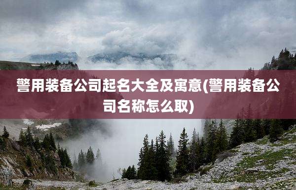 警用装备公司起名大全及寓意(警用装备公司名称怎么取)