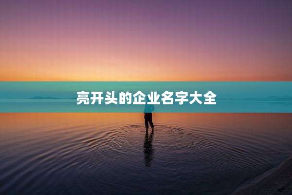 亮开头的企业名字大全