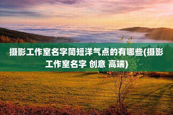 摄影工作室名字简短洋气点的有哪些(摄影工作室名字 创意 高端)