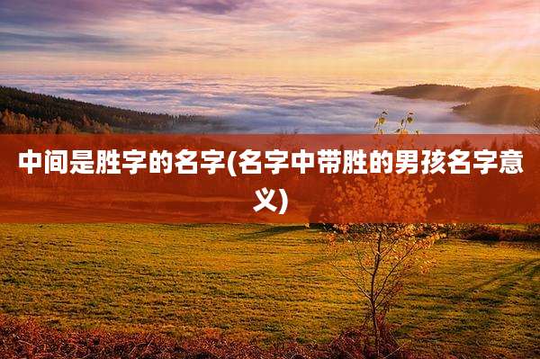 中间是胜字的名字(名字中带胜的男孩名字意义)