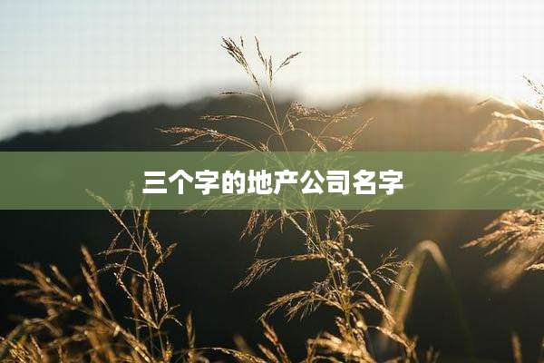 三个字的地产公司名字