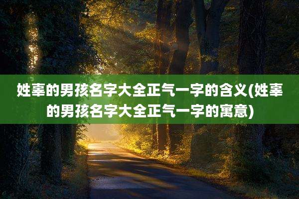 姓辜的男孩名字大全正气一字的含义(姓辜的男孩名字大全正气一字的寓意)