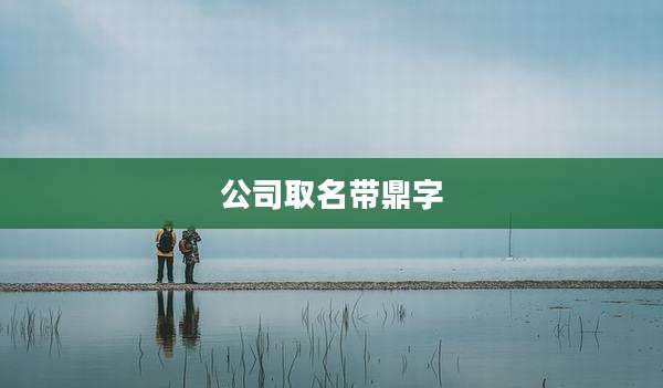 公司取名带鼎字