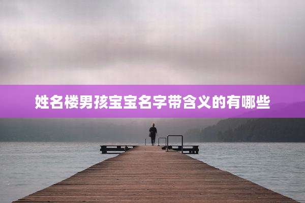姓名楼男孩宝宝名字带含义的有哪些