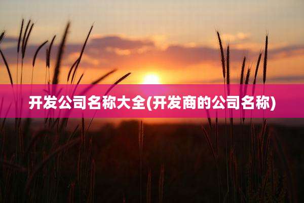 开发公司名称大全(开发商的公司名称)