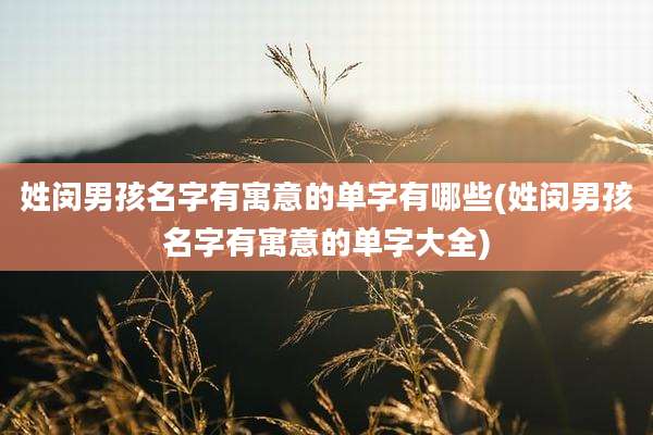 姓闵男孩名字有寓意的单字有哪些(姓闵男孩名字有寓意的单字大全)
