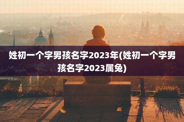 姓初一个字男孩名字2023年(姓初一个字男孩名字2023属兔)