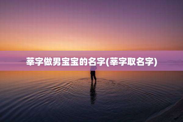 莘字做男宝宝的名字(莘字取名字)