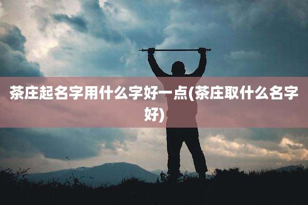茶庄起名字用什么字好一点(茶庄取什么名字好)
