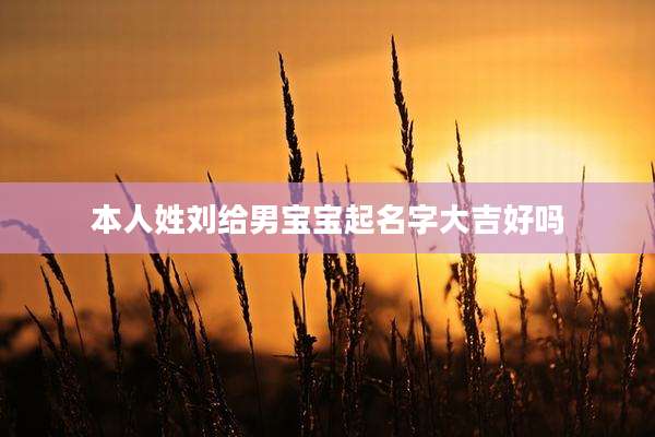 本人姓刘给男宝宝起名字大吉好吗