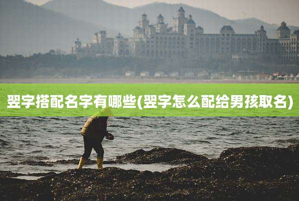 翌字搭配名字有哪些(翌字怎么配给男孩取名)