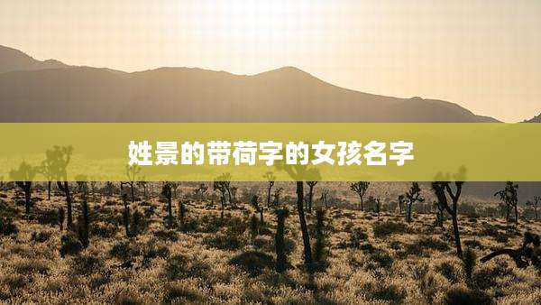 姓景的带荷字的女孩名字