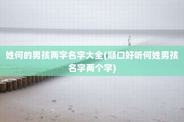 姓何的男孩两字名字大全(顺口好听何姓男孩名字两个字)