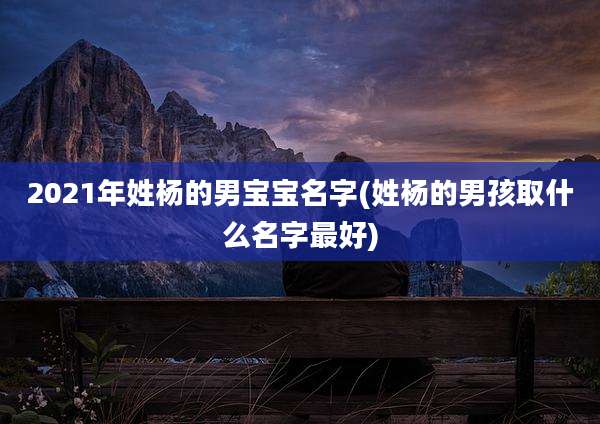2021年姓杨的男宝宝名字(姓杨的男孩取什么名字最好)