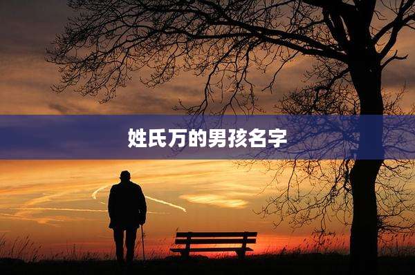 姓氏万的男孩名字