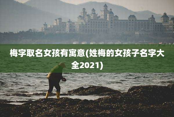 梅字取名女孩有寓意(姓梅的女孩子名字大全2021)