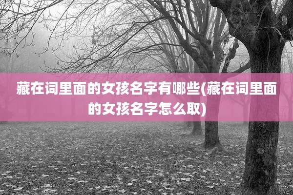 藏在词里面的女孩名字有哪些(藏在词里面的女孩名字怎么取)