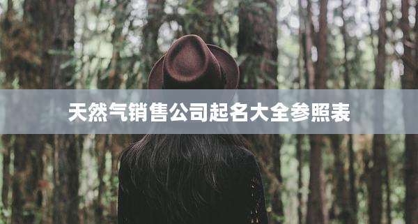 天然气销售公司起名大全参照表