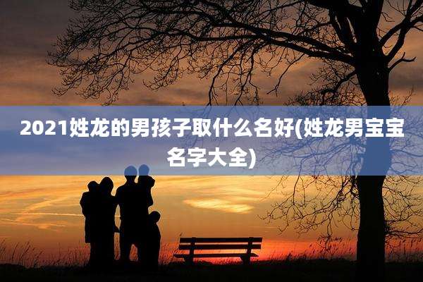 2021姓龙的男孩子取什么名好(姓龙男宝宝名字大全)