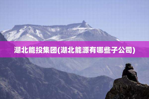 湖北能投集团(湖北能源有哪些子公司)