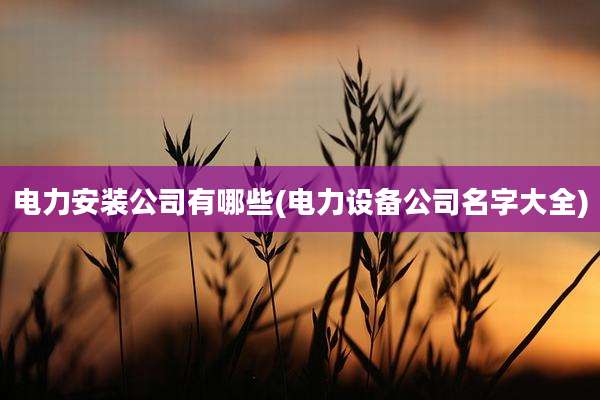 电力安装公司有哪些(电力设备公司名字大全)