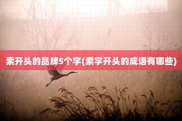 索开头的品牌5个字(索字开头的成语有哪些)