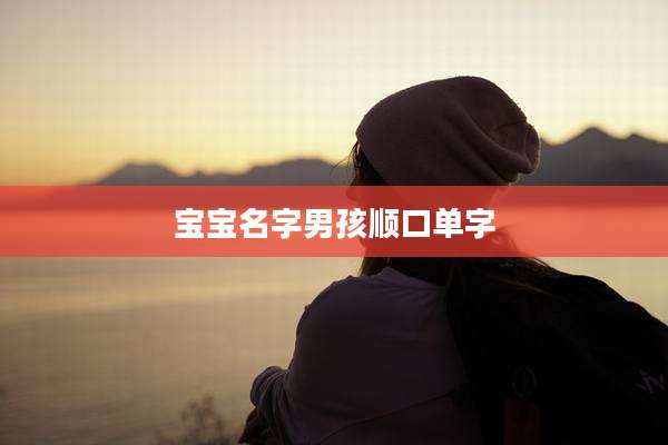宝宝名字男孩顺口单字