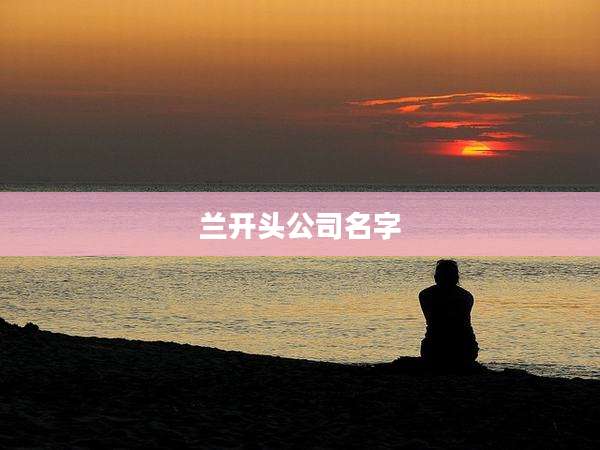 兰开头公司名字