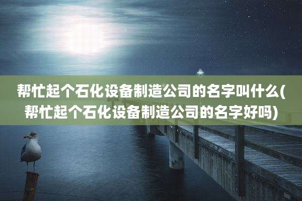 帮忙起个石化设备制造公司的名字叫什么(帮忙起个石化设备制造公司的名字好吗)