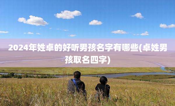 2024年姓卓的好听男孩名字有哪些(卓姓男孩取名四字)