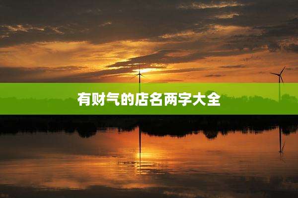 有财气的店名两字大全