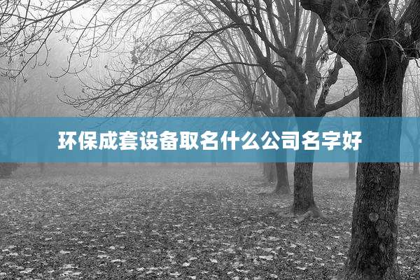 环保成套设备取名什么公司名字好