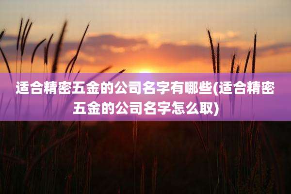 适合精密五金的公司名字有哪些(适合精密五金的公司名字怎么取)