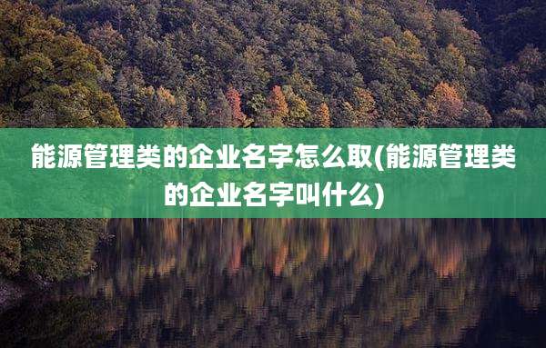 能源管理类的企业名字怎么取(能源管理类的企业名字叫什么)
