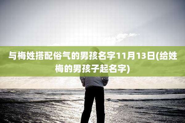 与梅姓搭配俗气的男孩名字11月13日(给姓梅的男孩子起名字)