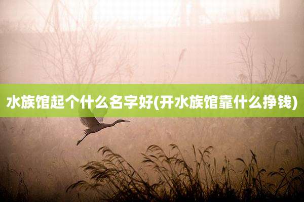 水族馆起个什么名字好(开水族馆靠什么挣钱)