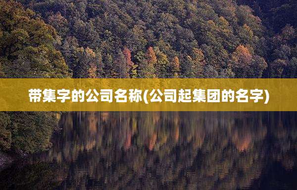 带集字的公司名称(公司起集团的名字)