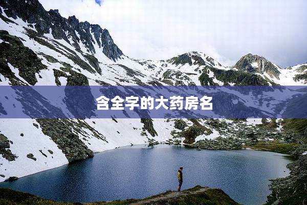 含全字的大药房名