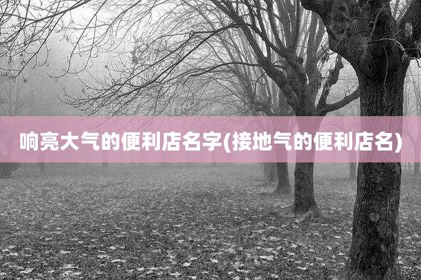 响亮大气的便利店名字(接地气的便利店名)