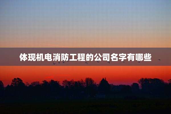 体现机电消防工程的公司名字有哪些