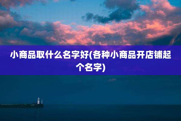 小商品取什么名字好(各种小商品开店铺起个名字)