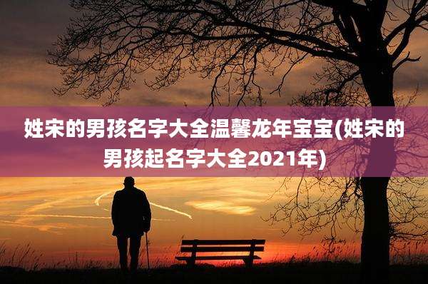 姓宋的男孩名字大全温馨龙年宝宝(姓宋的男孩起名字大全2021年)