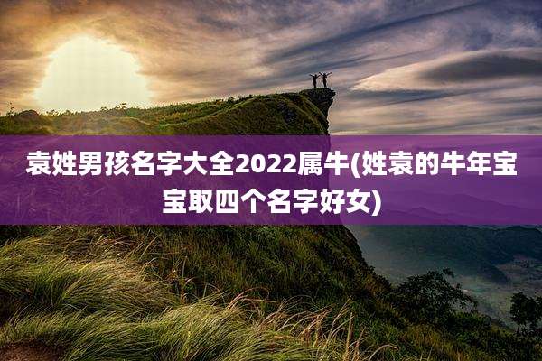 袁姓男孩名字大全2022属牛(姓袁的牛年宝宝取四个名字好女)