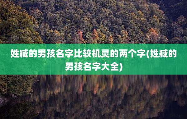 姓臧的男孩名字比较机灵的两个字(姓臧的男孩名字大全)